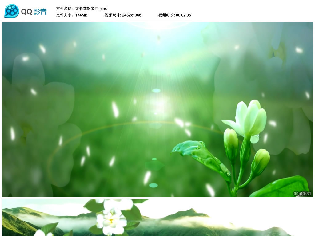 茉莉花钢琴曲(清新唯美茉莉)视频