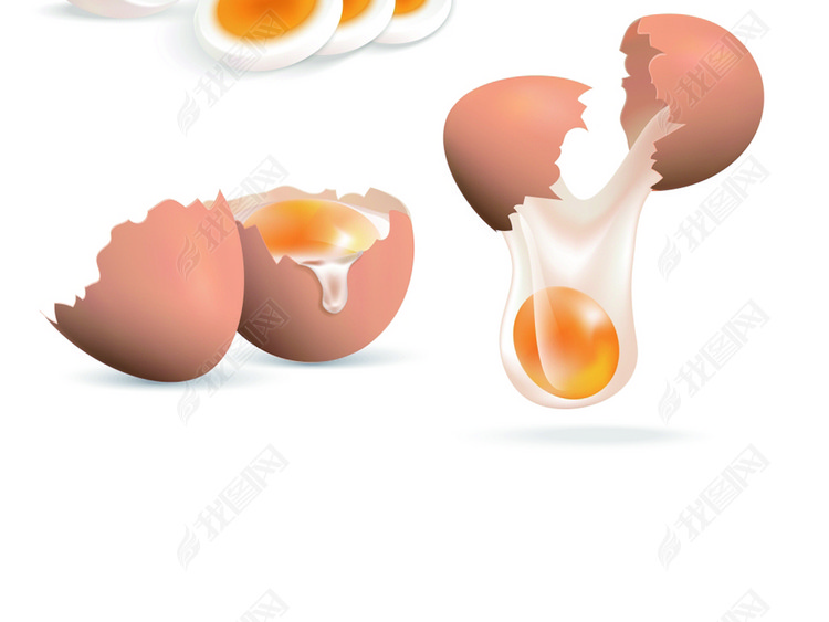 鸡蛋鸭蛋鹌鹑蛋蛋黄蛋壳砸金蛋矢量素材