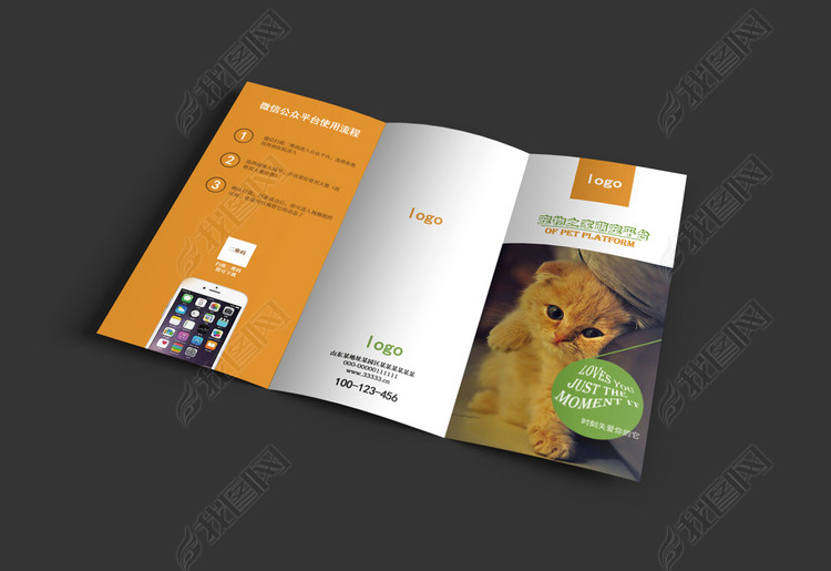 宠物APP手机软件介绍宣传单三折页设计