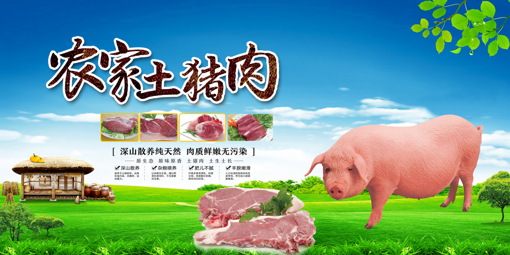土猪肉农家土猪海报设计