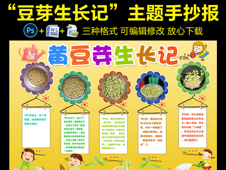 黄豆芽生长过程日记小报植物观察日记手抄报