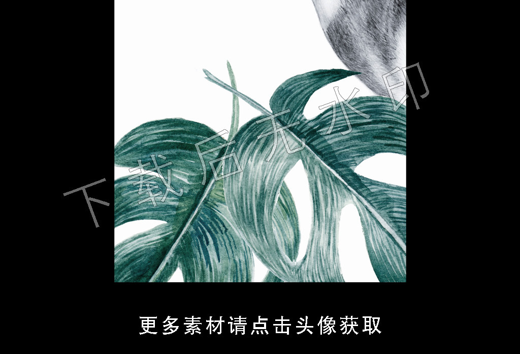 高清简约小清新北欧植物叶子装饰画图片