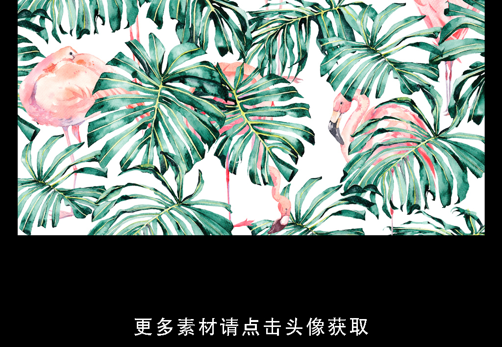 高清简约小清新北欧植物叶子装饰画图片