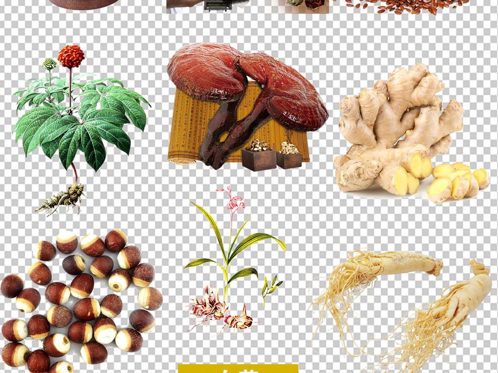 古代中药草药华佗本草纲目药材养生PNG免扣素材
