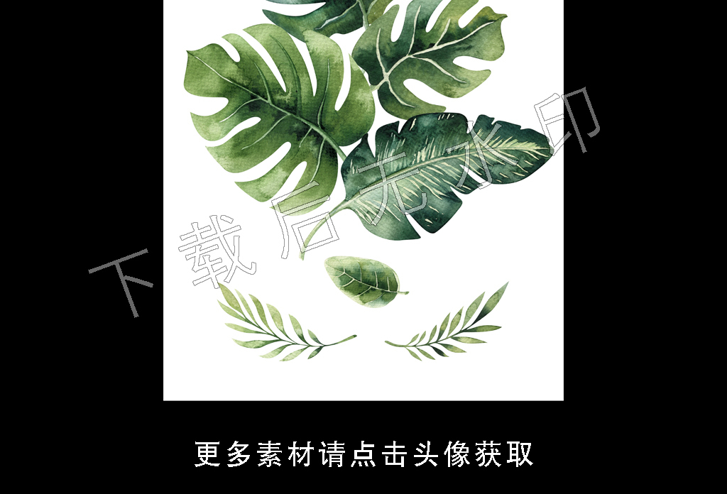 高清简约小清新北欧植物叶子装饰画图片