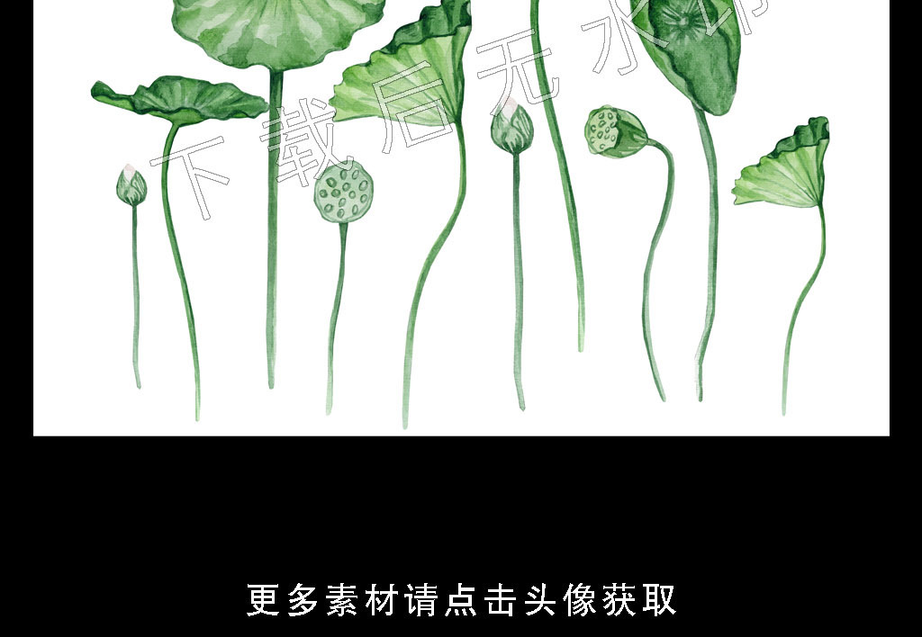 高清简约小清新北欧植物叶子装饰画图片