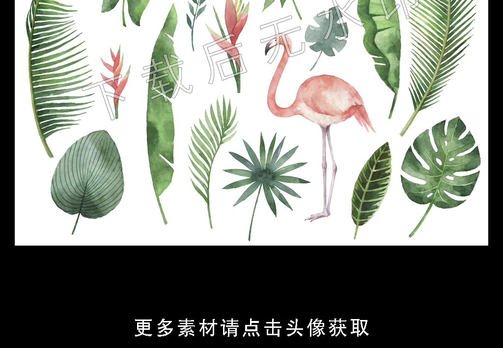 高清简约小清新北欧植物叶子装饰画图片