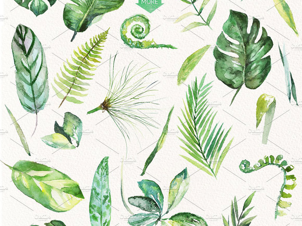 高清小清新手绘水彩插画叶子芭蕉叶透明素材图片