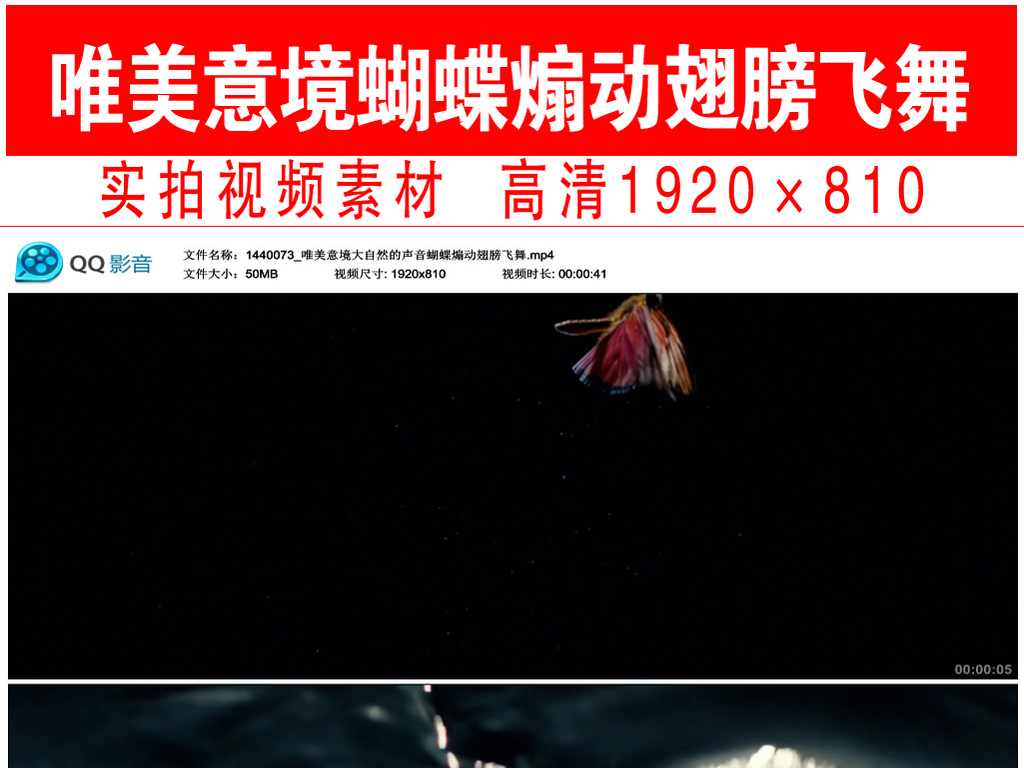 唯美意境蝴蝶煽动翅膀飞舞视频素材