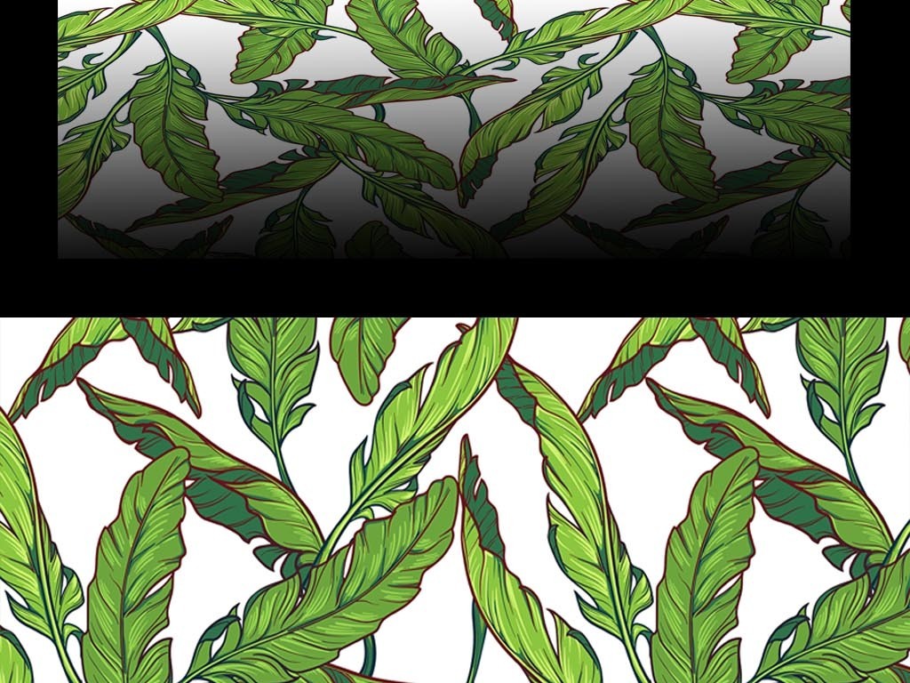 手绘芭蕉叶图片