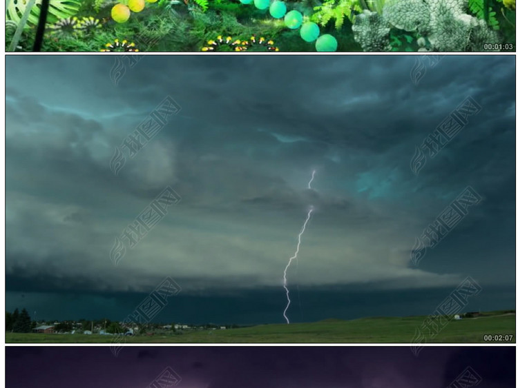 鸟鸟鸟少儿舞蹈森林丛林背景视频素材