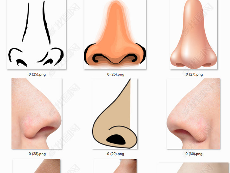 耳朵鼻子人体五官png免扣透明素材