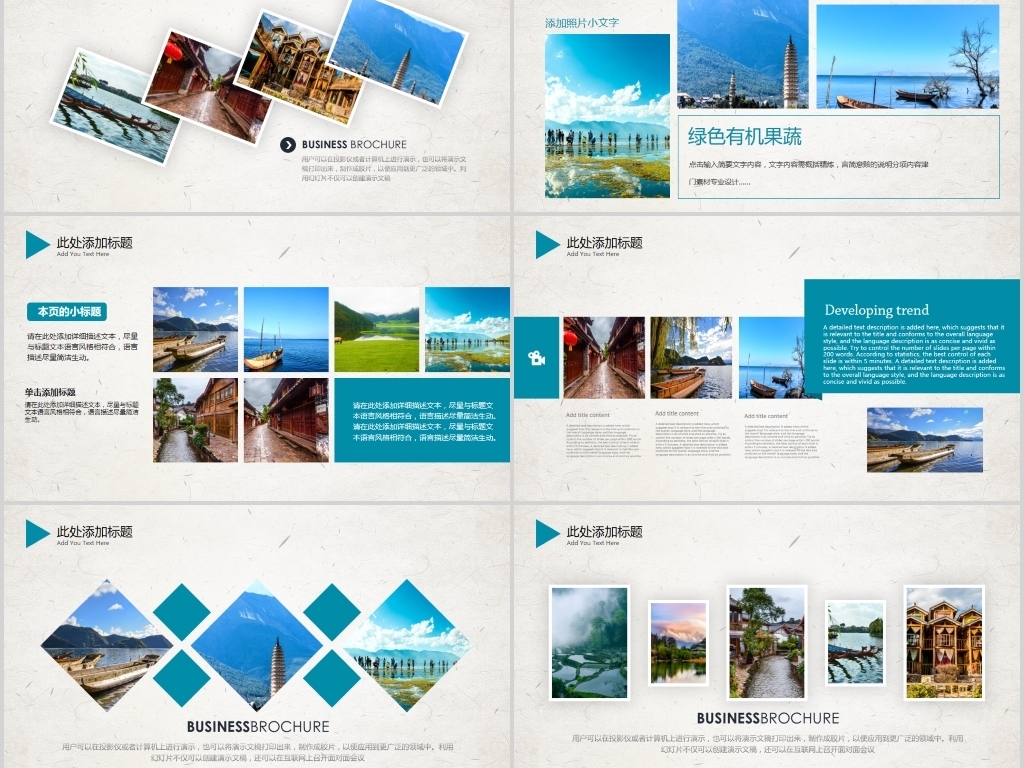 17319991-349a86811ab145b093f7980731446afb-8.jpg