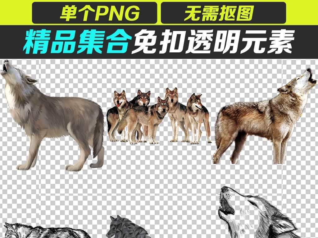 霸气狼群的图片