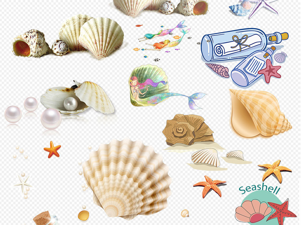 贝壳珍珠猜成语_看图猜成语(3)