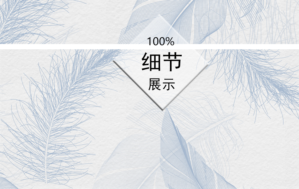 北欧羽毛背景墙图片设计素材_高清psd模板下