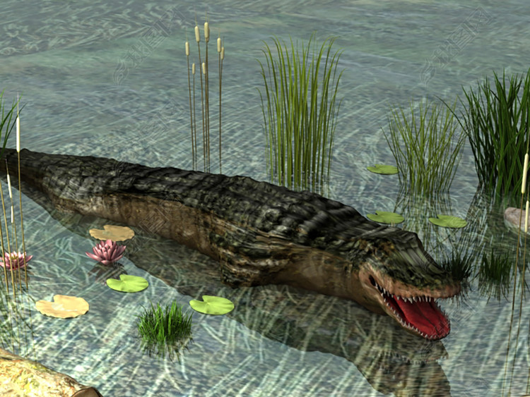 3D游戏场景鳄鱼高精场景模型图片下载max素