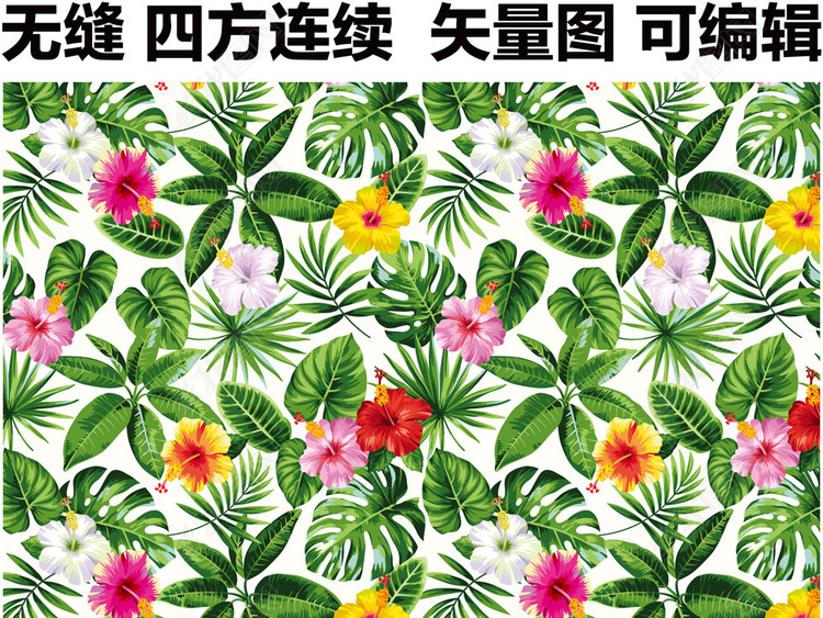 2018夏季女装印花热带风情植物芭蕉叶绿叶植
