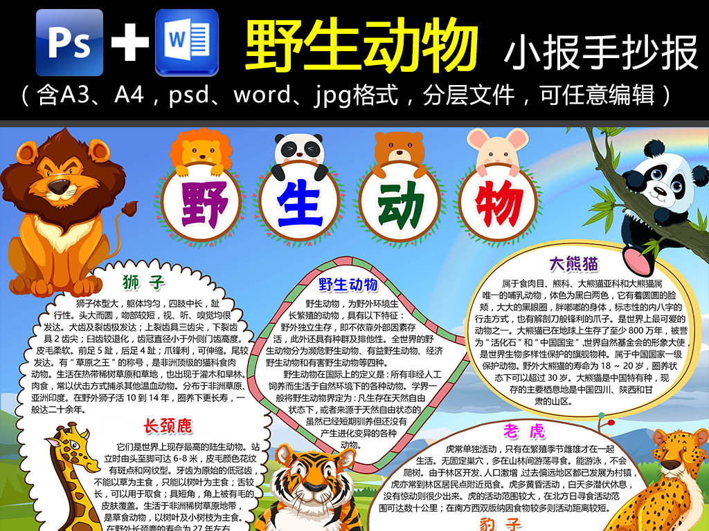 【本作品下载内容为:"WORD/PS野生动物小报爱护动物介绍手抄报电子小报"模板,其他内容仅为参考,如需印刷成实物请先认真校稿,避免造成不必要的经济损失。】 【声明】未经权利人许可,任何人不得随意使用本网站的原创作品(含预览图),否则将按照我国著作权法的相关规定被要求承担最高达50万元人民币的赔偿责任。