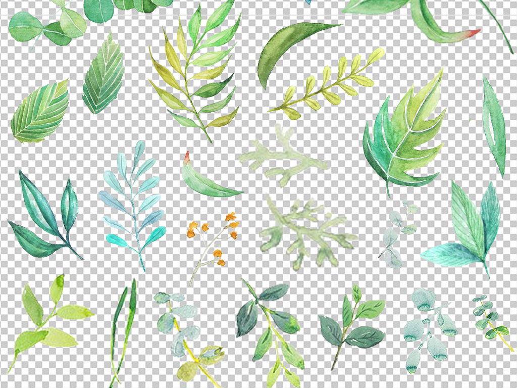 小清新绿叶北欧美式手绘插画水彩绿植设计素材
