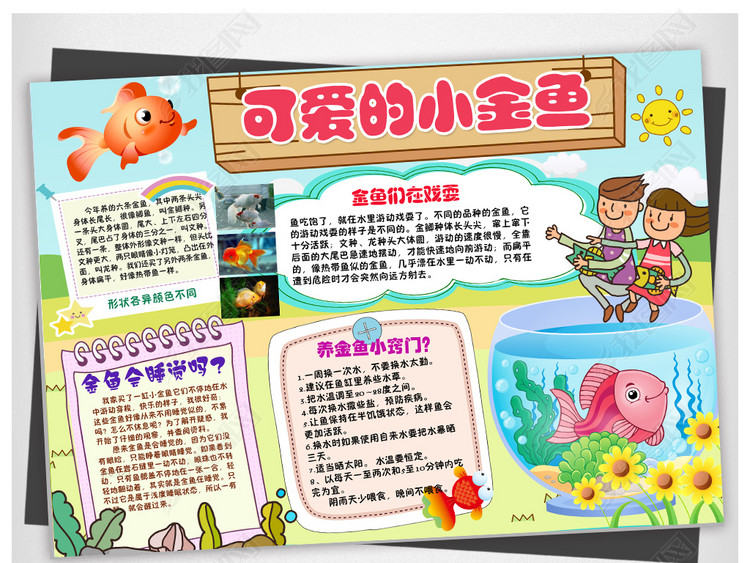 观察日记饲养小金鱼可爱宠物动物小报手抄报模