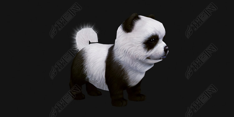 萌宠小狗5只小宠物狗熊猫狗拉布拉多犬小金毛