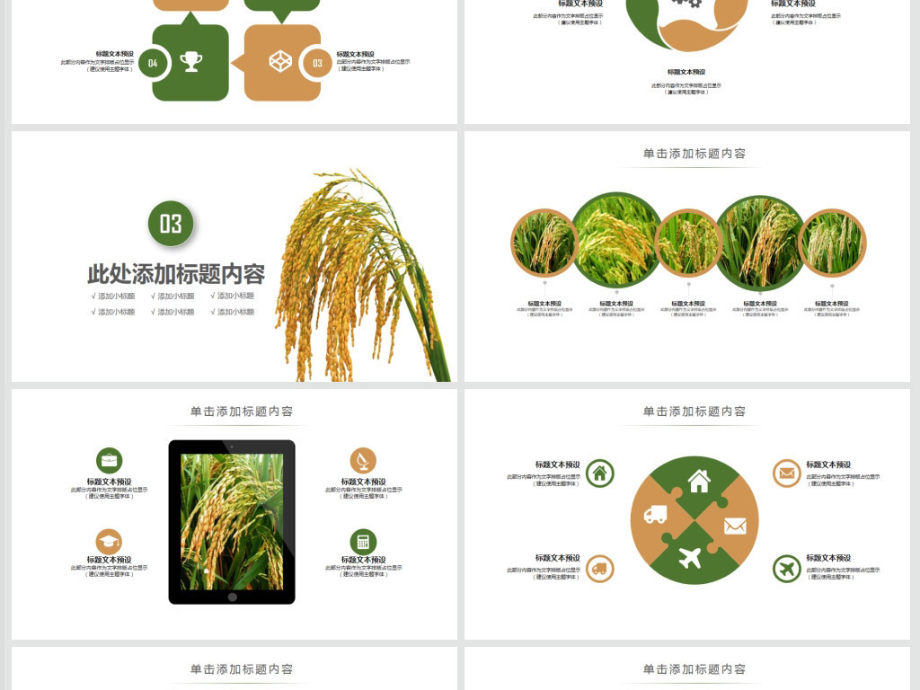 绿色农业产品农业水稻大米稻田ppt模板