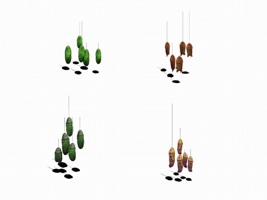 昆虫-虫蛹设计图下载(图片108.18MB)_城市规划库_SU模型