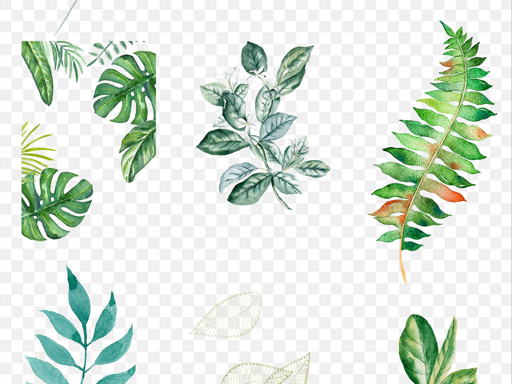 北欧小清新美式手绘插画水彩绿植素材