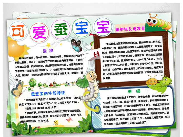 养蚕小报可爱蚕宝宝成长日记手抄报电子小报