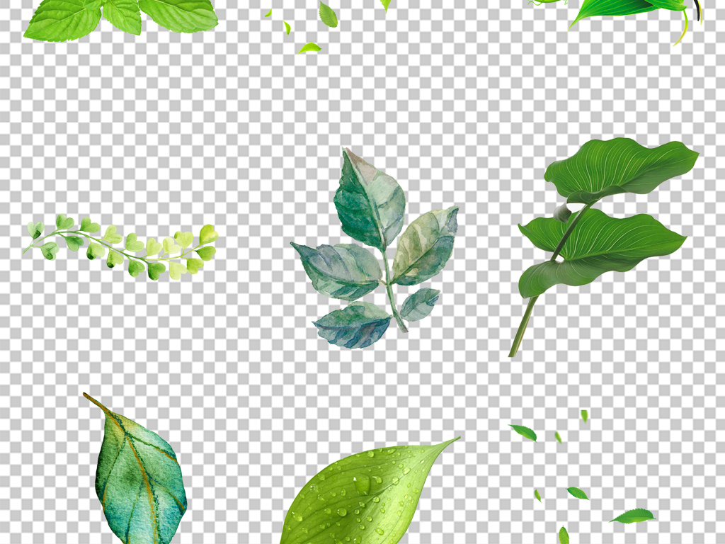 手绘插画水彩绿叶小清新绿植png设计素材图片
