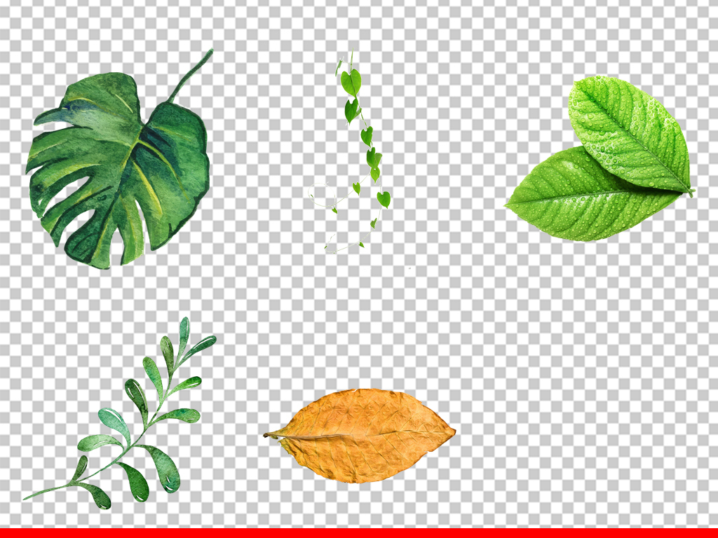 手绘插画水彩绿叶小清新绿植png设计素材图片