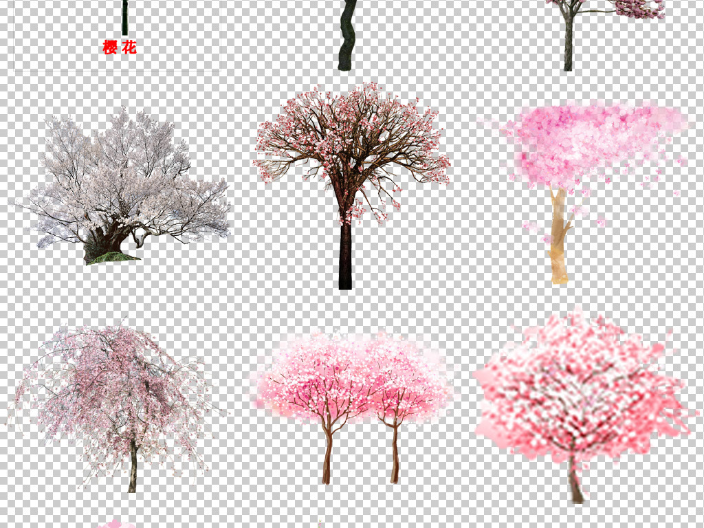 浪漫手绘樱花树背景图片日本樱花花瓣飞舞
