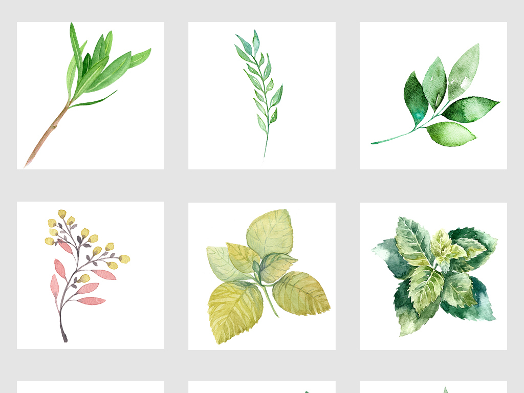 设计元素 自然素材 树叶 > 北欧小清新美式手绘插画水彩绿植png素材图片