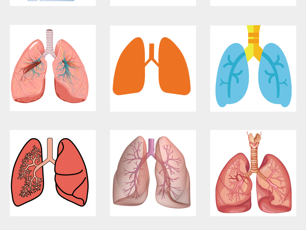 肺部图片