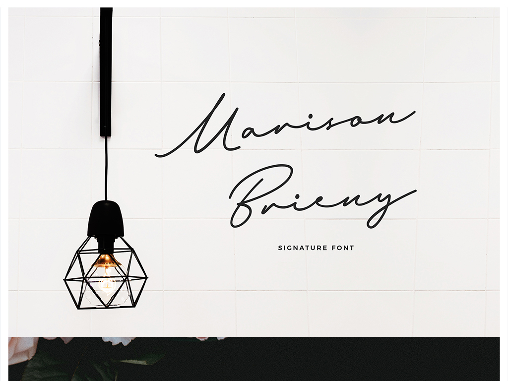 飘逸手写英文字体LOGO签名水印标志标签海报