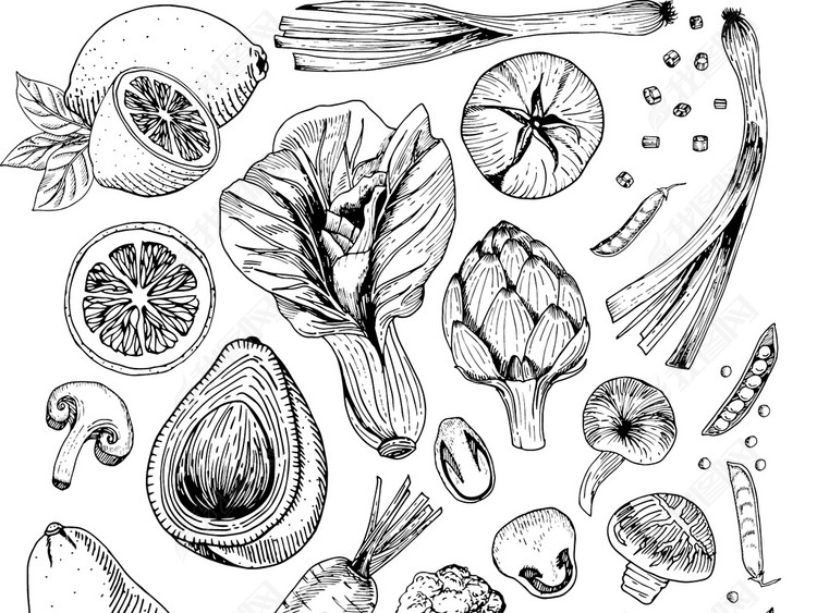 2018黑白复古手绘蔬菜瓜果矢量素材