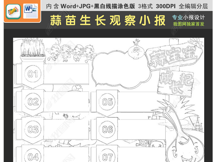 可爱蒜苗生长小报大蒜宝宝手抄报观察日记