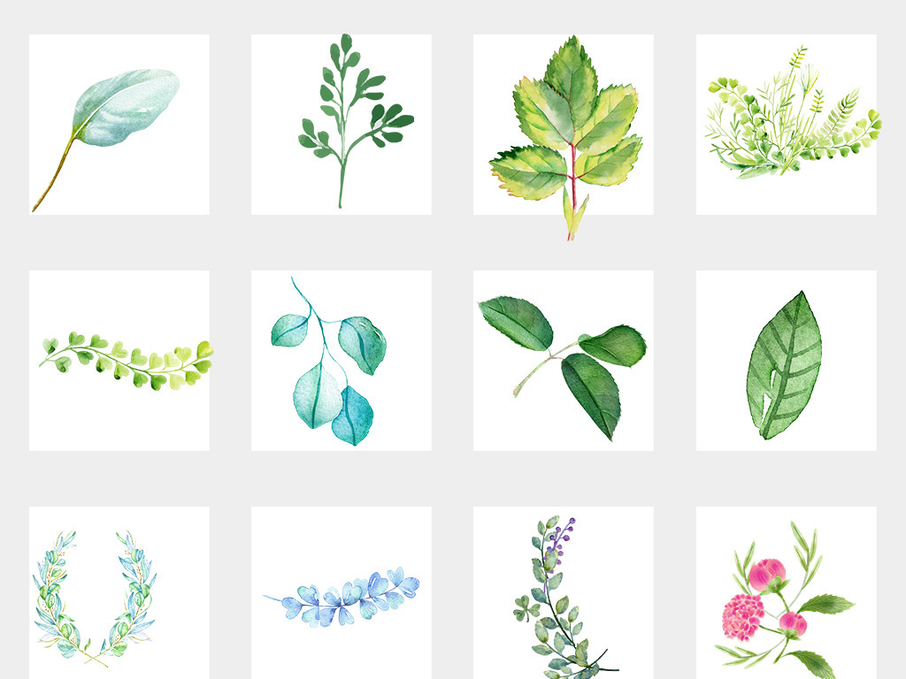森系北欧热带雨林手绘水彩树叶绿植插画设计素材图片