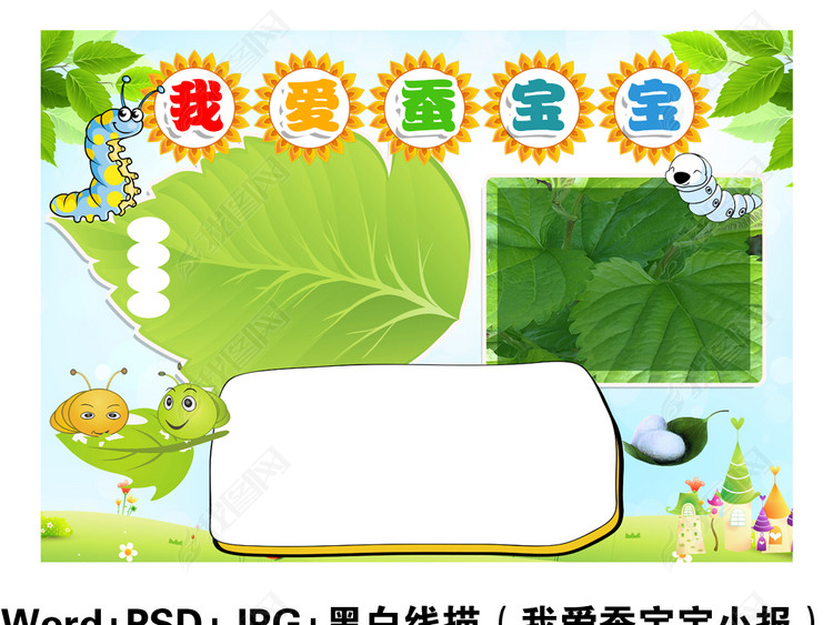 养蚕小报蚕宝宝观察生长日记手抄报