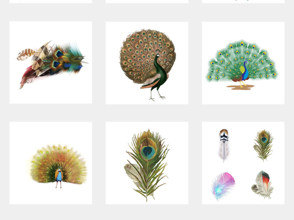 渐变镭射抖音动物孔雀开屏海报PNG元素