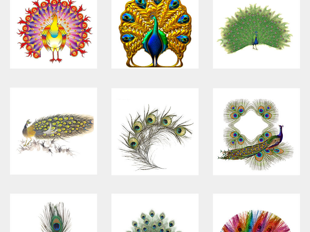 渐变镭射抖音动物孔雀开屏海报PNG元素