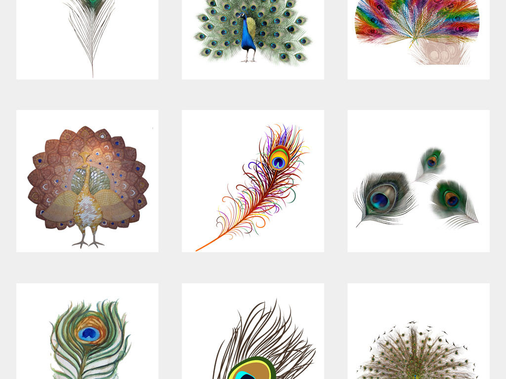 渐变镭射抖音动物孔雀开屏海报PNG元素