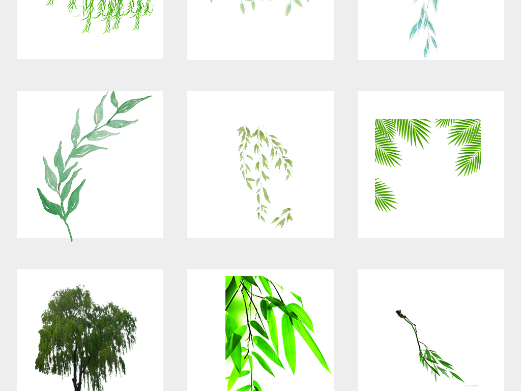 卡通柳树柳条柳叶春季夏季海报设计免扣素材