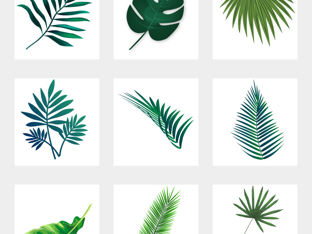 热带森系水彩绿叶植物手绘棕榈叶龟背竹图案装饰画插画PNG元素02
