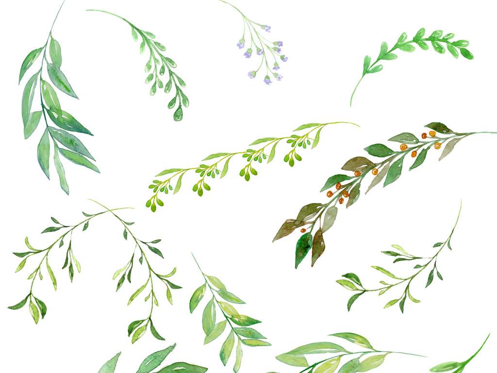 设计元素 自然素材 树叶 > 北欧小清新美式手绘插画水彩绿植设素材图片