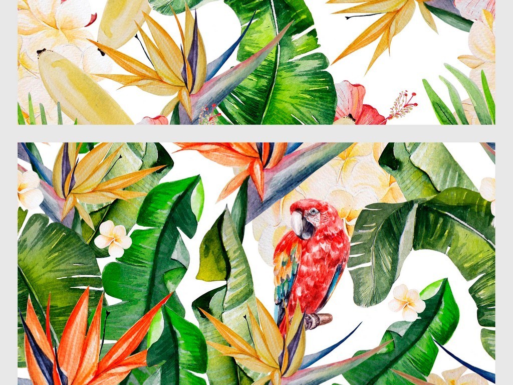 森系手绘水彩花鸟绿色植物棕榈芭蕉叶素材图片