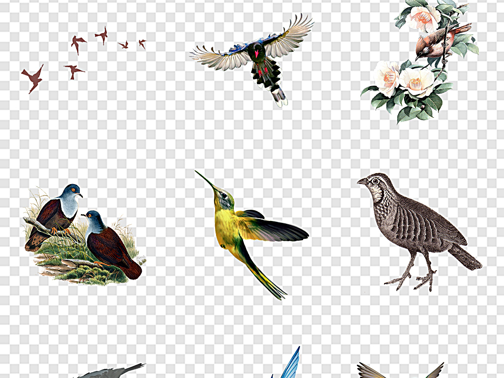 小鸟图案图纸 17652784-fecf811952eafbf7173dbdf7f277876f-1.jpg