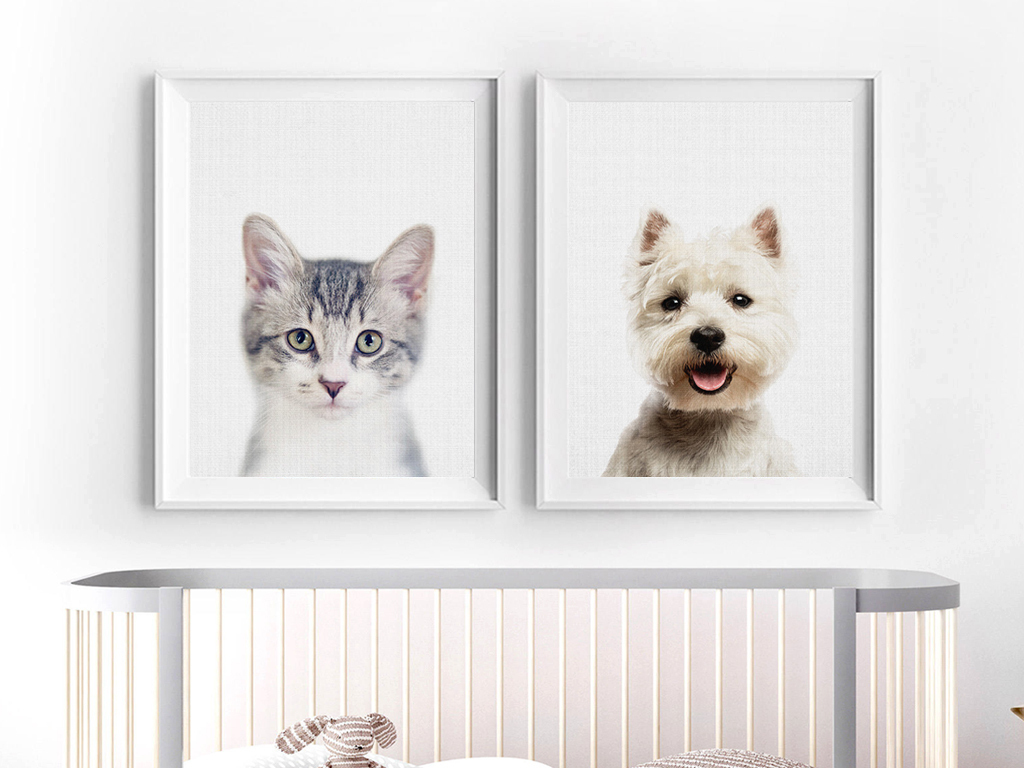 画动物图片教程 17663308-97675d0f38f54fce2ee0142750870b30-0.jpg