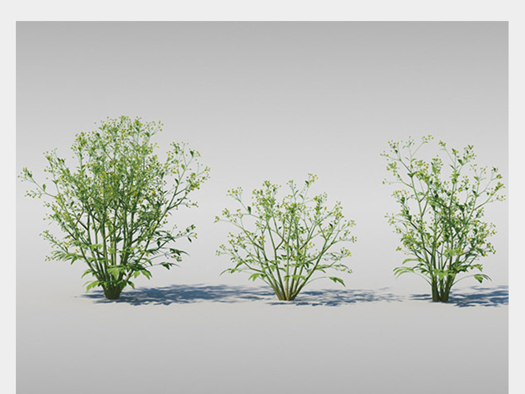 3D植物沙漠绿植绿色景观树模型